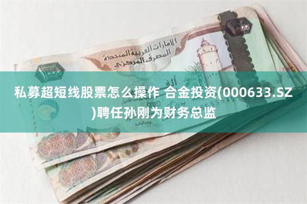 私募超短线股票怎么操作 合金投资(000633.SZ)聘任孙刚为财务总监