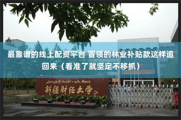 最靠谱的线上配资平台 冒领的林业补贴款这样追回来（看准了就坚定不移抓）