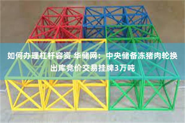 如何办理杠杆容资 华储网：中央储备冻猪肉轮换出库竞价交易挂牌3万吨