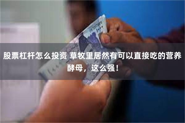 股票杠杆怎么投资 草牧里居然有可以直接吃的营养酵母，这么强！