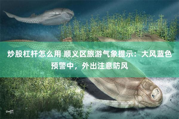 炒股杠杆怎么用 顺义区旅游气象提示：大风蓝色预警中，外出注意防风