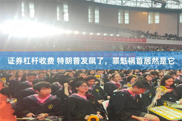 证券杠杆收费 特朗普发飙了，罪魁祸首居然是它