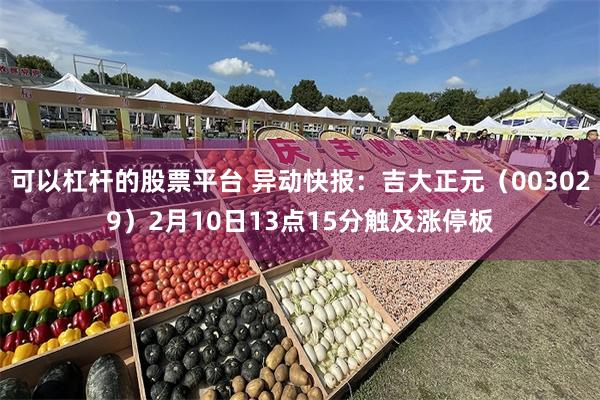 可以杠杆的股票平台 异动快报：吉大正元（003029）2月10日13点15分触及涨停板