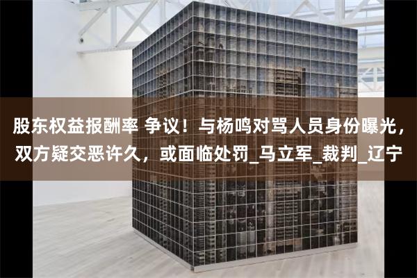 股东权益报酬率 争议！与杨鸣对骂人员身份曝光，双方疑交恶许久，或面临处罚_马立军_裁判_辽宁