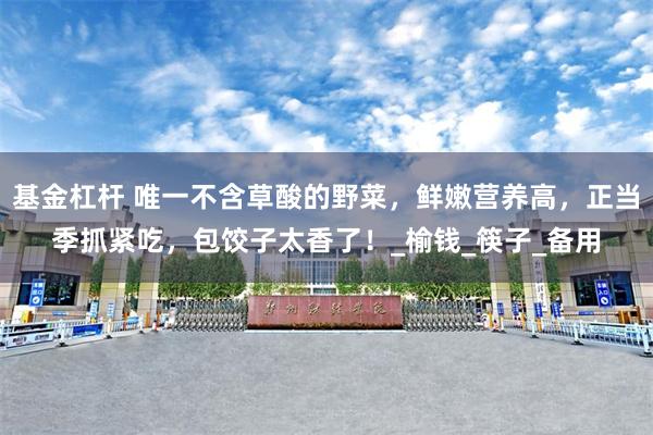 基金杠杆 唯一不含草酸的野菜，鲜嫩营养高，正当季抓紧吃，包饺子太香了！_榆钱_筷子_备用