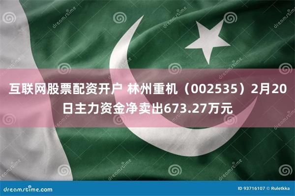 互联网股票配资开户 林州重机（002535）2月20日主力资金净卖出673.27万元