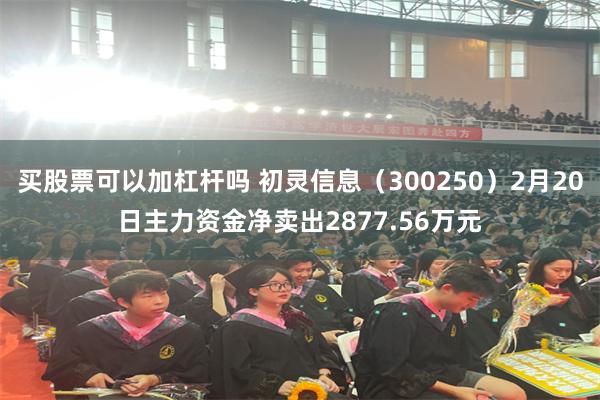 买股票可以加杠杆吗 初灵信息（300250）2月20日主力资金净卖出2877.56万元