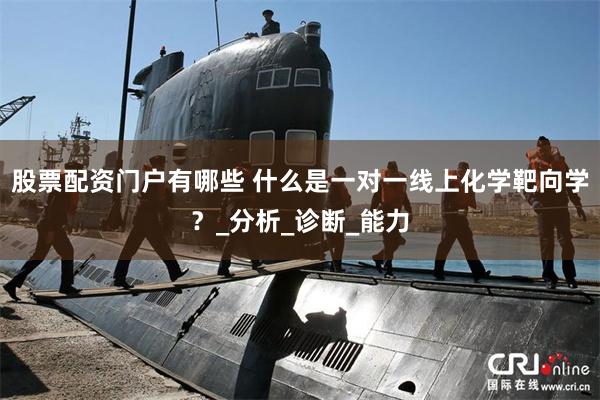 股票配资门户有哪些 什么是一对一线上化学靶向学？_分析_诊断_能力