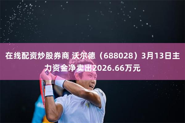 在线配资炒股券商 沃尔德（688028）3月13日主力资金净卖出2026.66万元