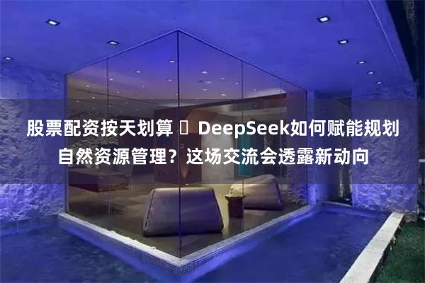 股票配资按天划算 ​DeepSeek如何赋能规划自然资源管理？这场交流会透露新动向