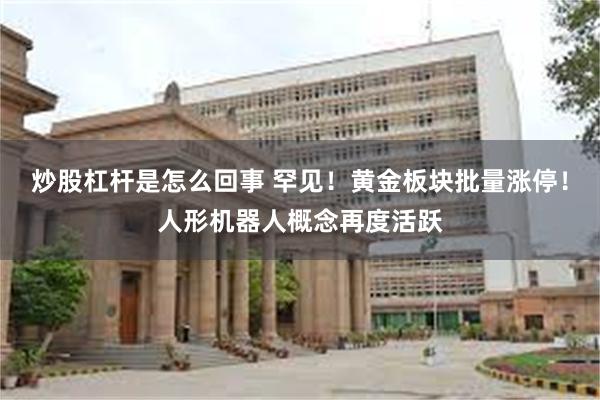 炒股杠杆是怎么回事 罕见！黄金板块批量涨停！人形机器人概念再度活跃