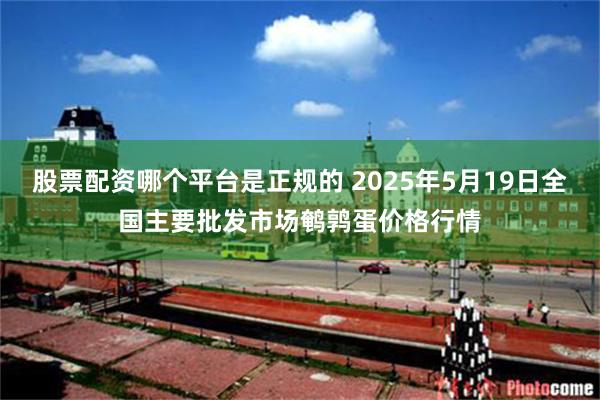 股票配资哪个平台是正规的 2025年5月19日全国主要批发市场鹌鹑蛋价格行情