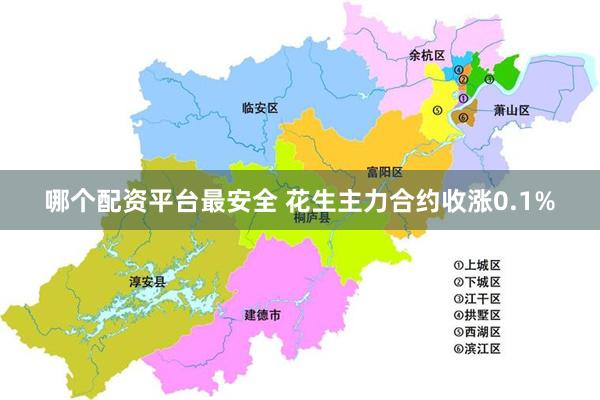 哪个配资平台最安全 花生主力合约收涨0.1%