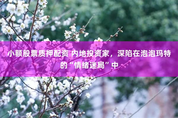 小额股票质押配资 内地投资家，深陷在泡泡玛特的“情绪迷局”中