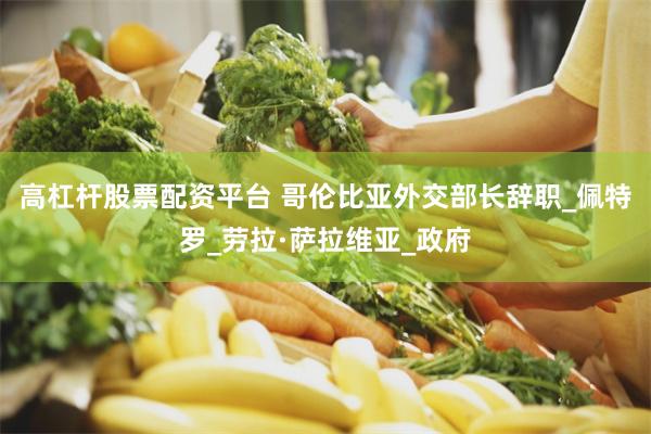 高杠杆股票配资平台 哥伦比亚外交部长辞职_佩特罗_劳拉·萨拉维亚_政府